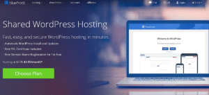 موقع blue host